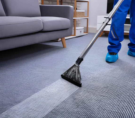 Area Rug Cleaning